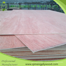 Poplar or Hardwood Core Dbbcc Grade 3.0mm Bintangor Plywood